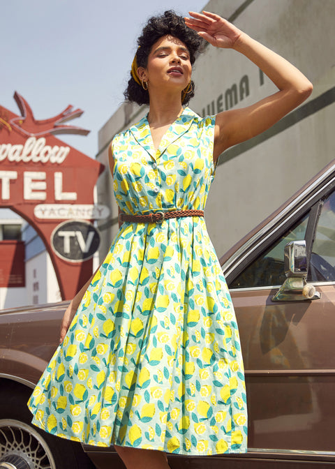 The Scenic Route Only Dress