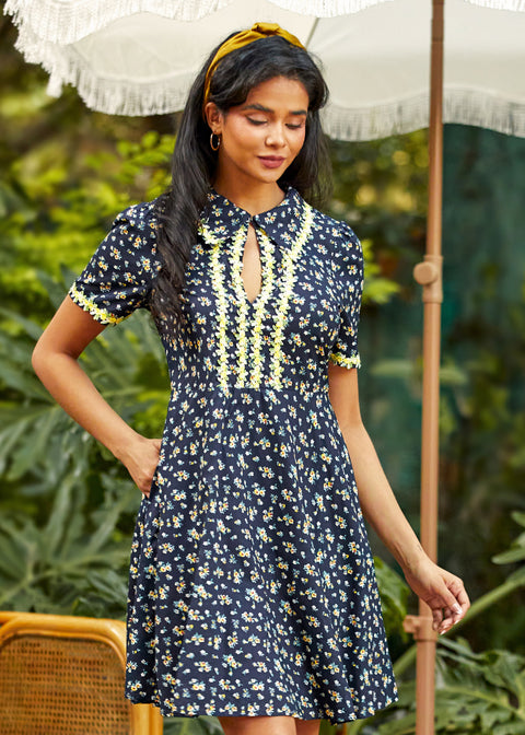 Trimmed in Charm Fit & Flare Dress