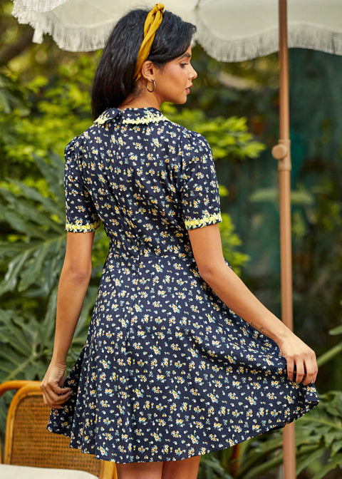 Trimmed in Charm Fit & Flare Dress