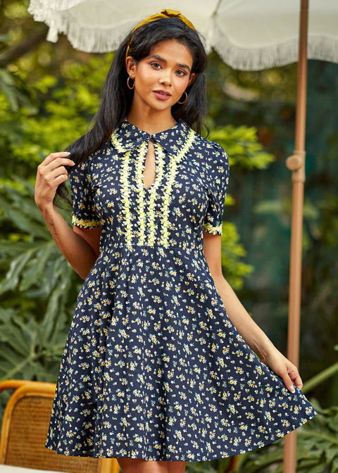 Trimmed in Charm Fit & Flare Dress