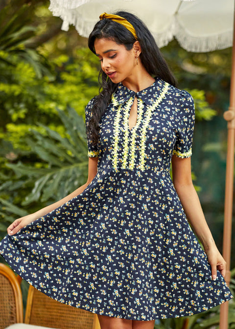 Trimmed in Charm Fit & Flare Dress