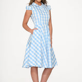 Blue Checkmate Swing Dress