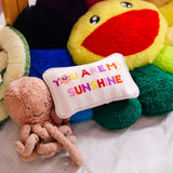 Needlepoint Pillow - You Are My Sunshine