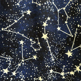 Glow in the Dark Constellations A-line Skirt