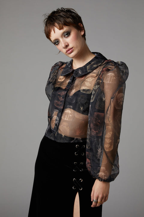 Sheer Gothic Puff Shoulder Blouse