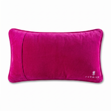Needlepoint Pillow - If You Don't Have Anything Nice to Say..