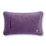 Needlepoint Pillow - Dazed & Confused