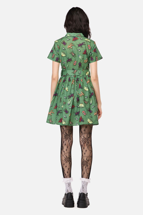 Entomology Print Dress
