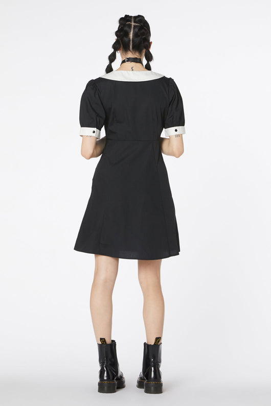 Puppy Embroidery Dress