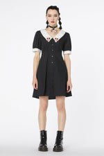Puppy Embroidery Dress