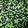 Green Swatch