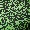 Green Swatch
