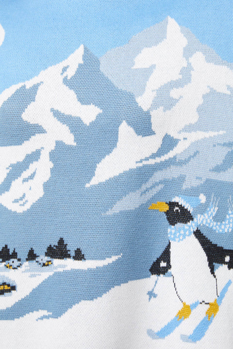 Winter Wonderland Knit