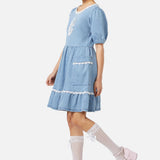 Field Shroom Denim Dress