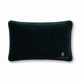 Needlepoint Pillow - None of Your Emails Are Finding Me Well