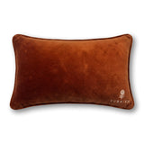 Needlepoint Pillow - Full Send