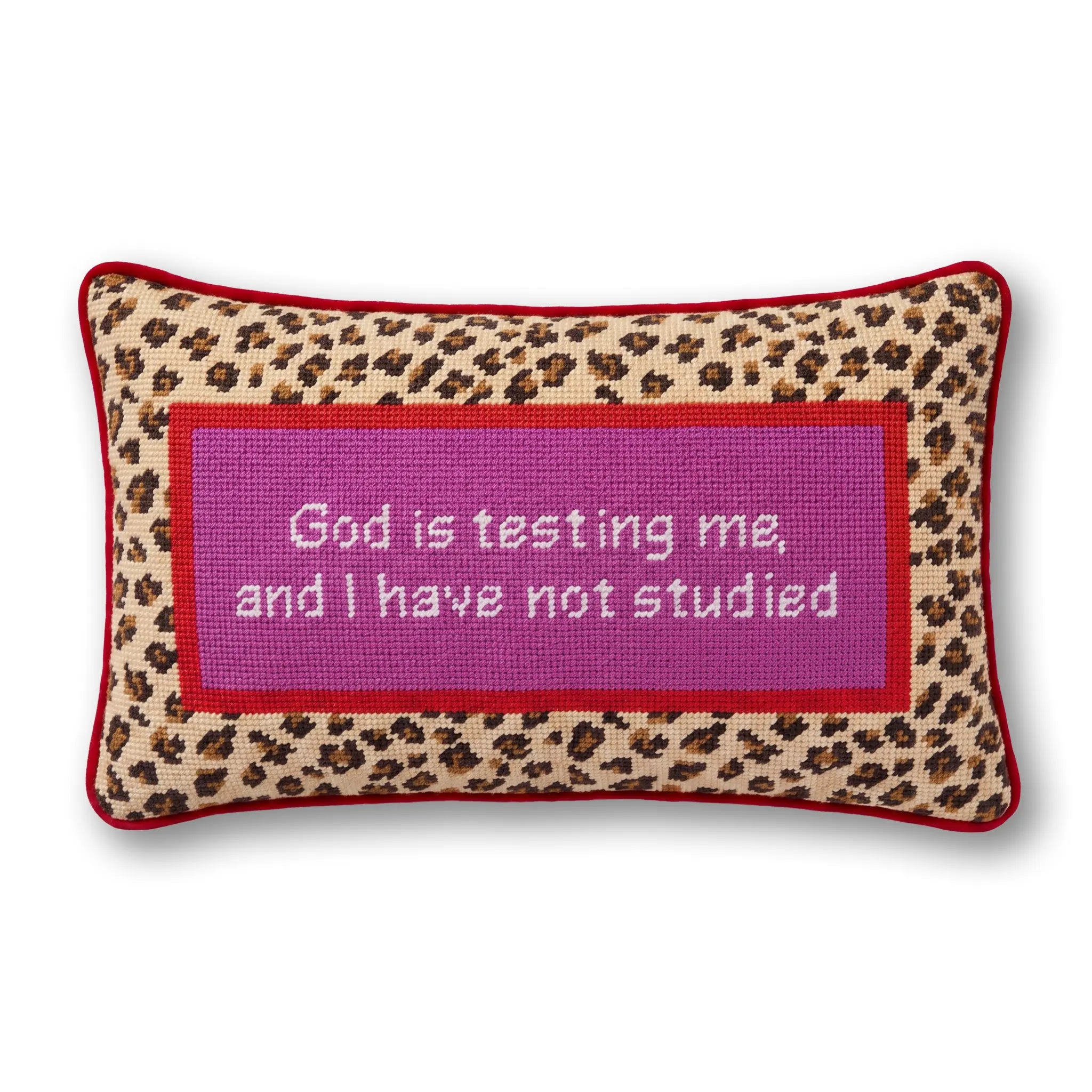 Needlepoint Pillow - God is Testing Me, I Have Not Studied