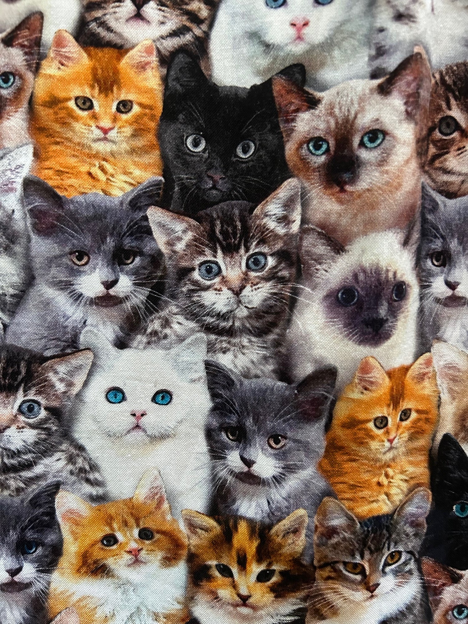 Retro Fit & Flare Dress Realistic Cats
