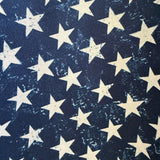 Stars Skater Skirt