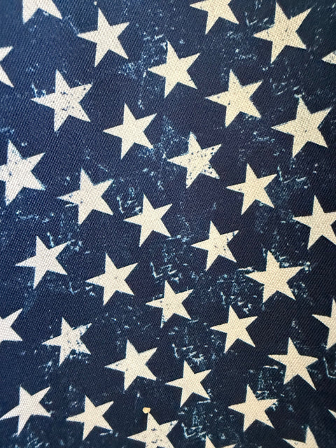 Stars Skater Skirt