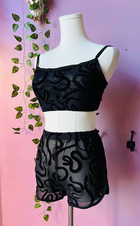 The Sinister Set - SNAKES - Sheer Velvet Flocked Bra & Shorts Separates
