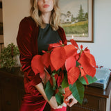 Oxblood Velvet Blazer
