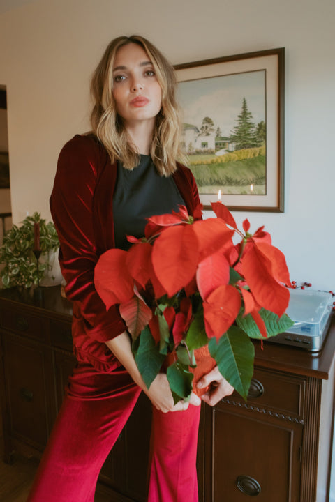 Oxblood Velvet Blazer