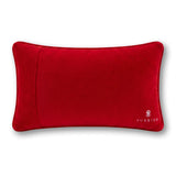 Needlepoint Pillow - Maybe Today Satan