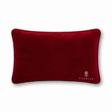 Needlepoint Pillow - I Am So Mentally Stable It's Insane