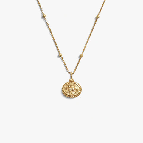 Aries Mini Gemstone Necklace