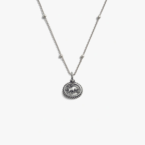 Mini Gemstone Zodiac Necklace