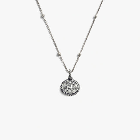 Sagittarius Mini Gemstone Necklace