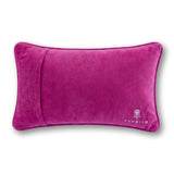 Needlepoint Pillow - NO NOTES