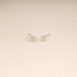 Mini Star Stud Earrings