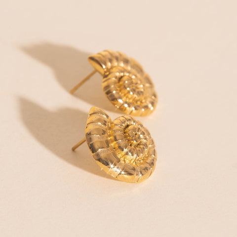 Shell Swirl Stud Earrings