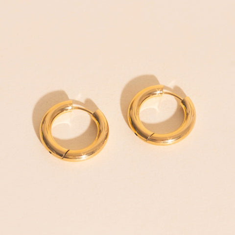 Titanium Chunky Rounded Huggie Hoop Earrings