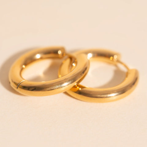 Titanium Chunky Rounded Huggie Hoop Earrings