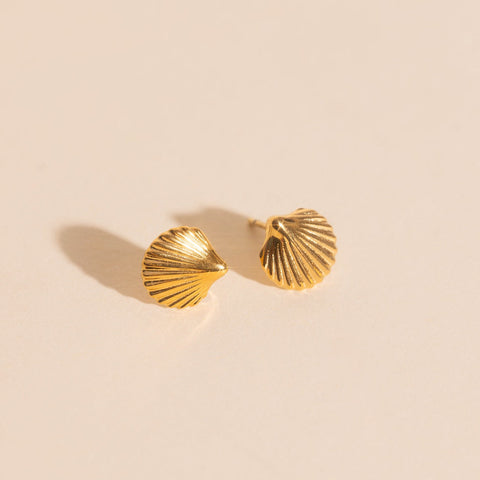 Mini Seashell Stud Earrings