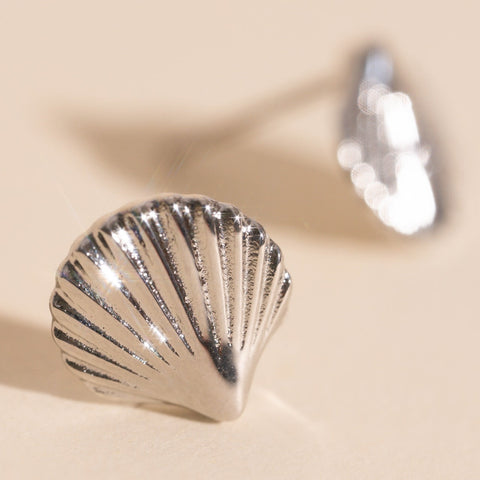 Mini Seashell Stud Earrings