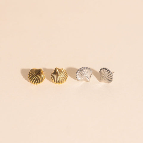 Mini Seashell Stud Earrings