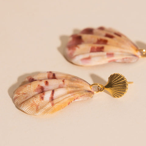 Seashell Dangle Stud Earrings