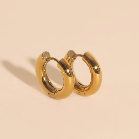 Titanium Chunky Rounded Huggie Hoop Earrings