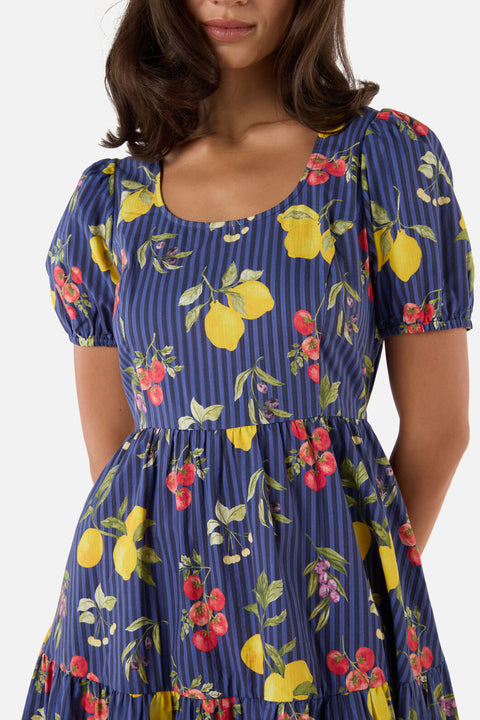 Carla Picnic Mini Dress