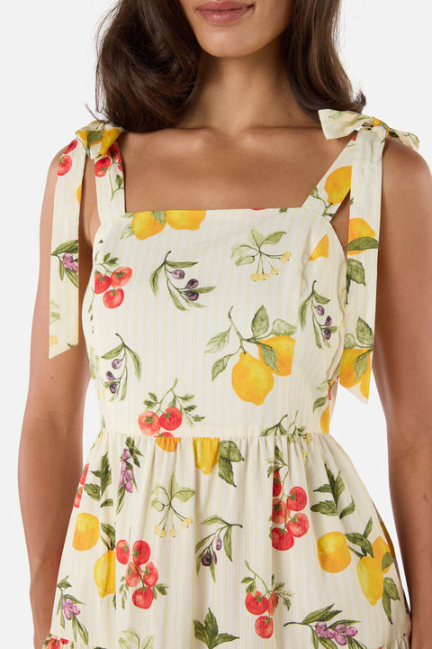 Carla Picnic Tiered Midi Dress
