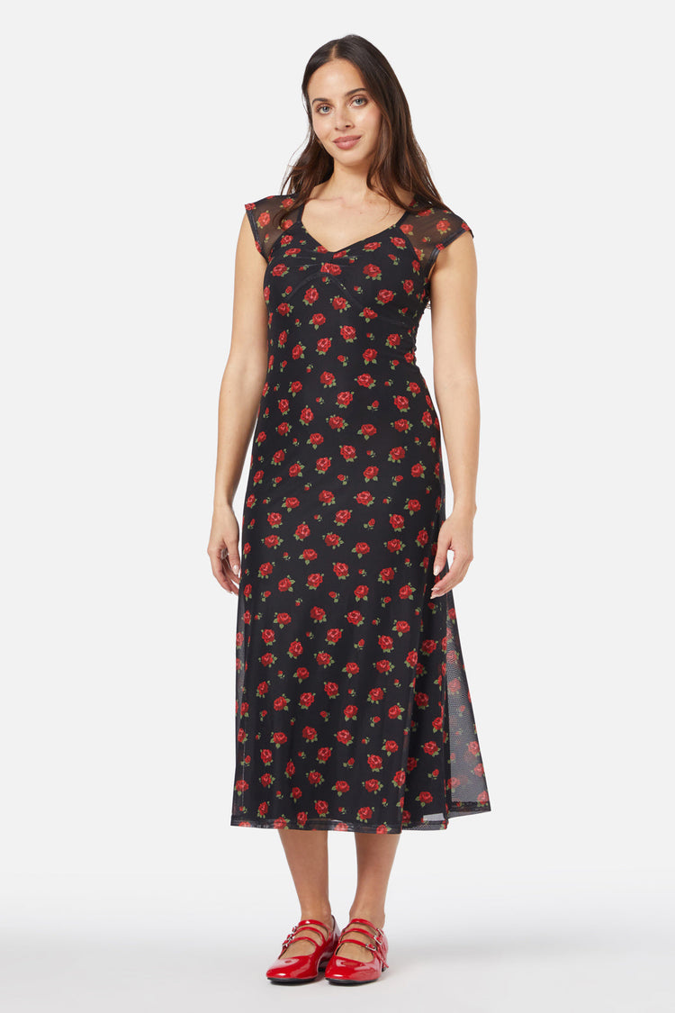Baby Roses Mesh Dress