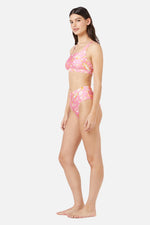 Sea Shells Bikini Top
