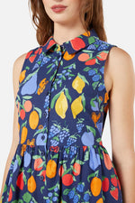 Fruit Bowl Shirt Dress
