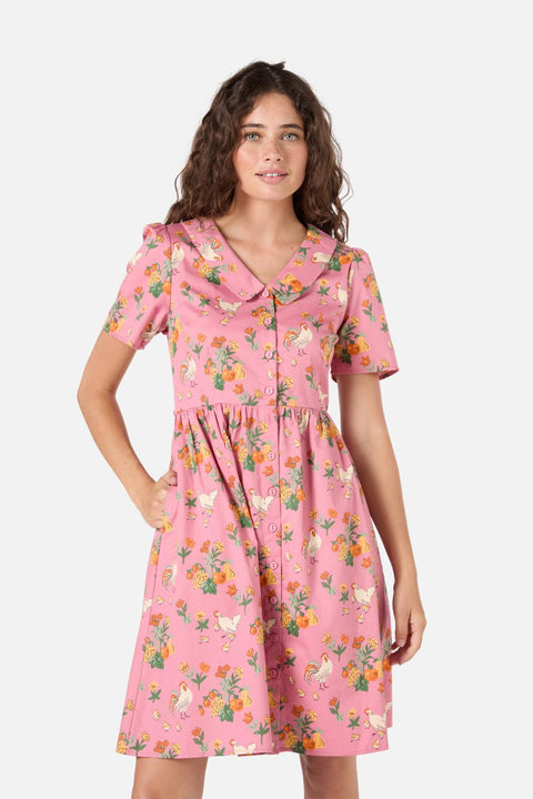 Chickens Mini Shirt Dress