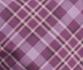 Purple Swatch