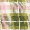 Green swatch